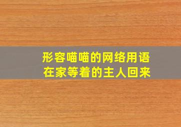 形容喵喵的网络用语 在家等着的主人回来